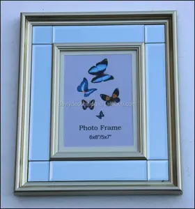 Champagne Ps Moulding Glazen Fotolijst 6X8 Met Vlinder Foto Ontwerpen Morden Frames Fotolijst