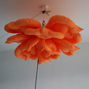 퍼레이드를 위한 걷는 용 이동하는 마스코트 퍼레이드 걷는 복장 팽창식 공룡 복장 - Product Image 2