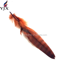 Bán buôn nhuộm màu nâu sẫm Xám chinchilla Rooster lông để bán giá rẻ trang trí - Product Image 3
