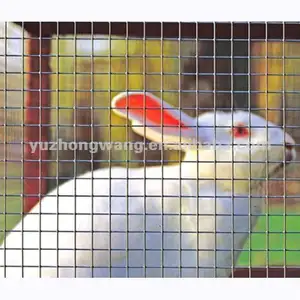 High quality welded rabbit/bird cage wire mesh for exporting