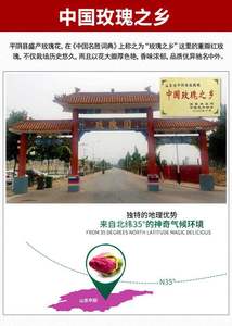 Prezzo di fabbrica Secchi <span class=keywords><strong>Rosa</strong></span> Boccioli di <span class=keywords><strong>Rosa</strong></span> Tè di <span class=keywords><strong>Rosa</strong></span> <span class=keywords><strong>Rosa</strong></span> <span class=keywords><strong>Rosa</strong></span> Tè Organico Bocciolo di <span class=keywords><strong>Rosa</strong></span> Tea - Product Image 4