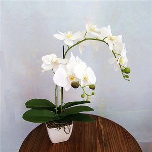 Flor de Margarita de seda orquídea para decoración de interiores, 2019 - Product Image 1