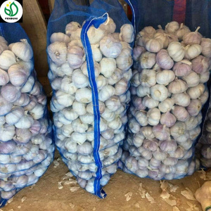 Nueva China ajo blanco fresco encurtidos ajo almacenamiento a guinea - Product Image 4
