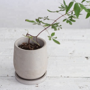 Pot de fleurs en béton au design moderne avec plateau, forme ronde pour la décoration intérieure - Product Image 3