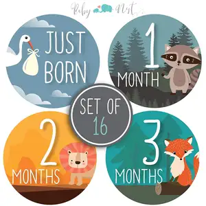 Myway Months Belly Decals Cartoon Style Animals Baby Milestone Stickers