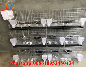 <span class=keywords><strong>Cage</strong></span> et <span class=keywords><strong>cage</strong></span> de <span class=keywords><strong>pigeon</strong></span> à 12 cellules bon marché et de vente chaude pour l'animal de compagnie d'oiseau de <span class=keywords><strong>pigeon</strong></span> d'élevage (vente directe) - Product Image 3