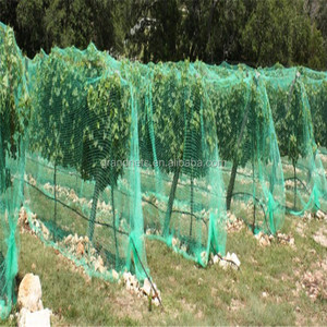 Red de Apoyo para plantas de escalada, agricultura, alta calidad - Product Image 1