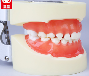 معيار ممارسة طب الأطفال نموذج الأسنان typodont الطفل نموذج لشكل الأسنان - Product Image 2