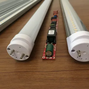 Tube led en tube chinois, haute luminosité, vidéo d'animaux, de zoo, fabriqué en chine, 2019