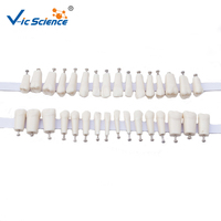 Nissin-modelo de dientes humanos de imitación, reemplazo de dientes, 32 o 28 unidades, modelo de ciencia médica, modelo educativo