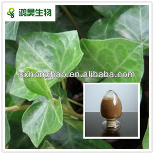 De calidad superior 10:1 ivy extracto de hoja para la bronquitis - Product Image 1