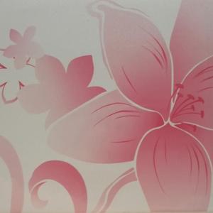 VCM Màng Pvc PPGI Tấm Thép Nhiều Lớp Cuộn Thép Tráng Pvc Nhiều Lớp Tấm Ép Cho Tủ Lạnh - Product Image 3