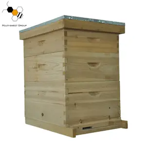 Harga terbaik beehive dua lapisan 10 bingkai langstroth beehive