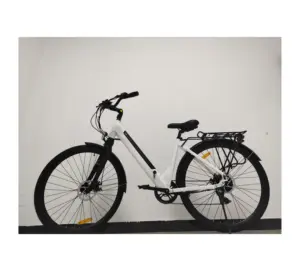 Fabrik preis 700c Elektro fahrrad Fahrrad mit Heckmotor Electric City Bike Modestil Elektro-Bicyle zu verkaufen