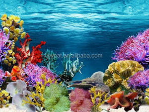 貝殻 サンゴ 海水族館 アクセサリー ワールドアクアリウム 背景 アクアリウム絵画 絵画 - Product Image 3