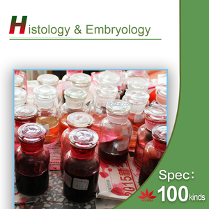 ชุดสไลด์เนื้อเยื่อสัตว์และมนุษย์ ยอดนิยม 100 ชิ้น บรรจุในกล่องไม้ - Product Image 5