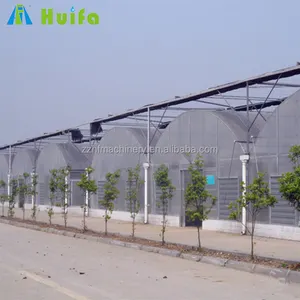 Hot sale low cost commercial 5000 sqm multi span greenhouse in Tanzania