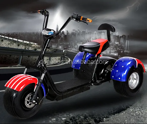 Bicicleta eléctrica de tres ruedas, 60V, batería de litio, autobalance, Citycoco1000W, con CE, motocicleta