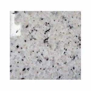 Hoa Hồng Trắng Với Những Đốm Đen Ngà Đá Granite Trắng