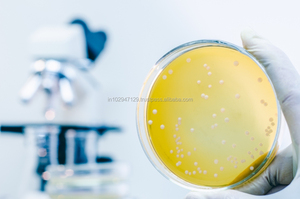 Produit rentable pour la remise en état des sols contaminés - Product Image 6