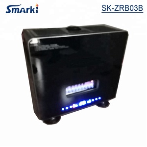 12-14KW Suelo hermético <span class=keywords><strong>de</strong></span> pie LPG o calentador <span class=keywords><strong>de</strong></span> <span class=keywords><strong>gas</strong></span> <span class=keywords><strong>natural</strong></span> Calentador <span class=keywords><strong>de</strong></span> <span class=keywords><strong>gas</strong></span> para sala <span class=keywords><strong>de</strong></span> <span class=keywords><strong>gas</strong></span> SK-ZRB03B - Product Image 4
