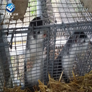 Di alta Qualità professionale della fabbrica degli animali di allevamento gabbia di visone - Product Image 2
