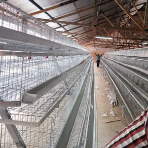 Pyramid Type Egg Laying Chicken Battery Cages For Poultry Farm