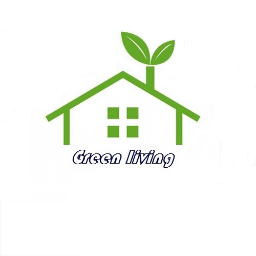 Shenzhen Kingso Technology Co., Ltd. logo