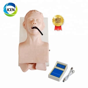 Modèle de formation médicale avancé, 3 en 406, modèle de simulation de vapotage, chemin masculin, tpr, mannequin - Product Image 5