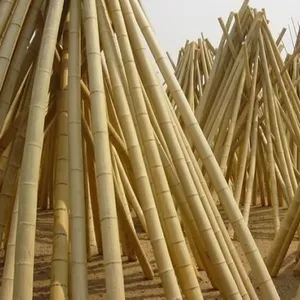 Satılık 60-420cm bambu direkleri bahçe köpekler çiftlik üzüm dekor ev dekoratif toptan