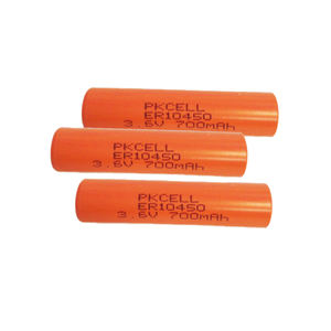 Er10450 batterie Shenzhen Pkcell LiSOCl2 3.6v er10450 lithium batterie piles AAA 800mah - Product Image 6