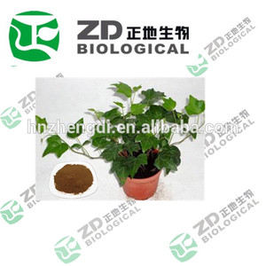 Extrait de feuilles de lierre poudre hederacoside c 1%- 98% pour guérir aménorrhée - Product Image 1