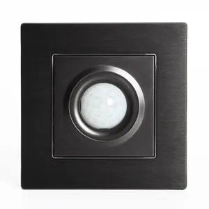 Interruptor de luz preto escovado da parede, instalação da parede, sensor de movimento