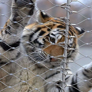 Clôture de Protection des tigres, en acier inoxydable, clôture de câbles en fil Inox, <span class=keywords><strong>Cage</strong></span> avec maille pour animaux, Zoo - Product Image 2