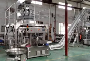 Fully Automatic Doypack Sugar Packaging Machine Cookies Chips Pet Frozen Multi-Function Food Premade Bag Filling Machine