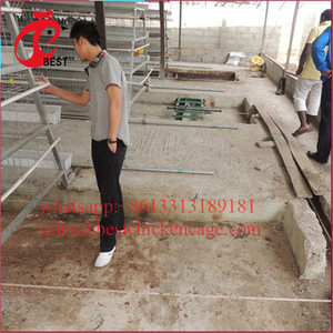 Precio más bajo Chciken Jaulas Venta Aves de Corral Waterer para granja Capa Gallineros de China - Product Image 4