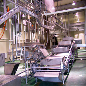 bovins de <span class=keywords><strong>boucherie</strong></span> équipements <span class=keywords><strong>abattoir</strong></span> - Product Image 3