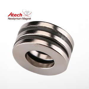 <span class=keywords><strong>Uni</strong></span> Pole-anillo magnético Radial, N42 - Product Image 5