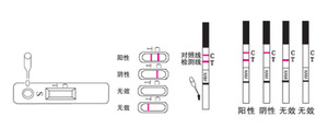 POCT coloidal oro Kits de prueba de suero/Plasma Combo rápido casete de prueba para Mycoplasma pneumoniae IgM - Product Image 2