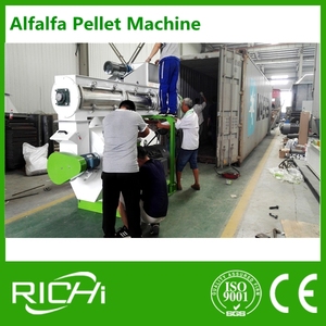 RICHI Usine <span class=keywords><strong>de</strong></span> granulés <span class=keywords><strong>de</strong></span> conception libre pour paille riz balle luzerne <span class=keywords><strong>chanvre</strong></span> luzerne ligne <span class=keywords><strong>de</strong></span> granulés moulin à granulés pour les ventes - Product Image 3