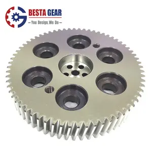 China Professional Supplier Big Large Diameter Spur Gear