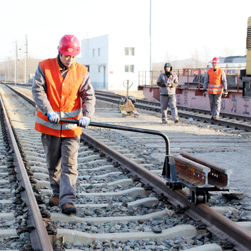 Автомобильная переноска DGC rail monorail