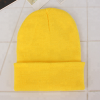 Bonnet en tricot épais et doux unisexe personnalisé avec logo, bonnet de ski chaud en acrylique pour l'hiver, disponible en 71 couleurs unies