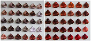 Cartella Colori BISS per Capelli - Product Image 3