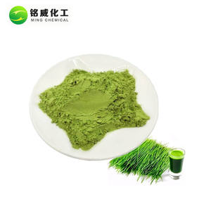 תזונתי 1000 רשת עשב חיטה אבקה עבור שייק - Product Image 6