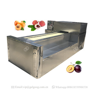 Lõi trái cây Tách Khô <span class=keywords><strong>Apricot</strong></span> Seed Mận Pit Loại Bỏ Máy - Product Image 5