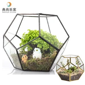 Pot de planteur pour table en verre, conteneur en forme de pentagone noir, dispositif géométrique de Terrarium