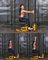 Banc de musculation ZYFIT, machine à sissy squat avec banc pour abdominaux