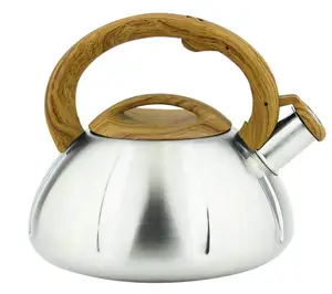 2.2 Quart Stainless Steel Tea Kettle in Teal