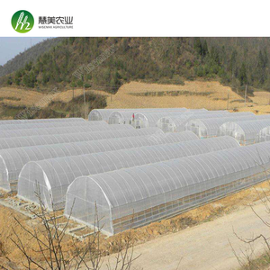 ไบเออร์100% อุโมงค์การเกษตรขนาดใหญ่ทำจากวัสดุ PE เรือนกระจกช่วงเดียวเสริม - Product Image 6